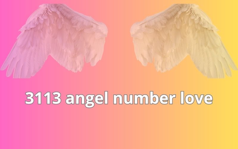 3113 angel number love